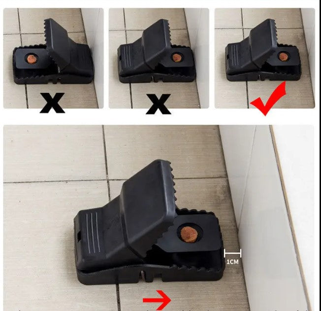 Nerūsējošā tērauda peles slazdi