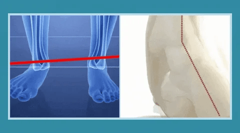 Sieviešu elpojoši brīvā laika sporta apavi